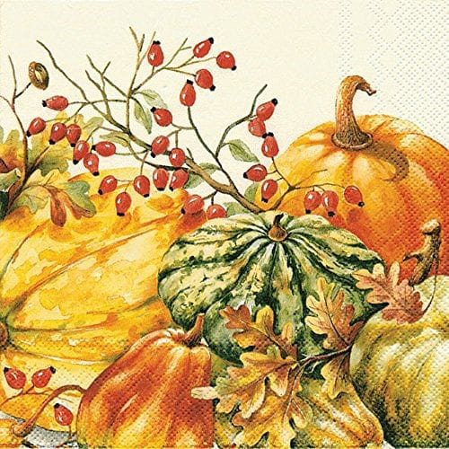 Ideal Home Calabaza Cream - Lunch Napkin - Shelburne Country Store