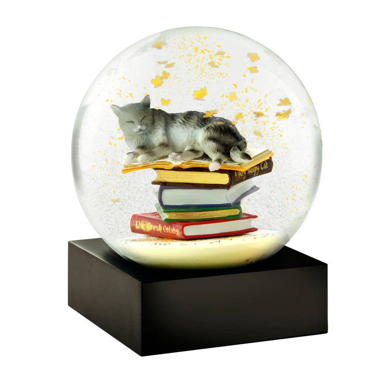 Cat on Books Snow Globe - Shelburne Country Store