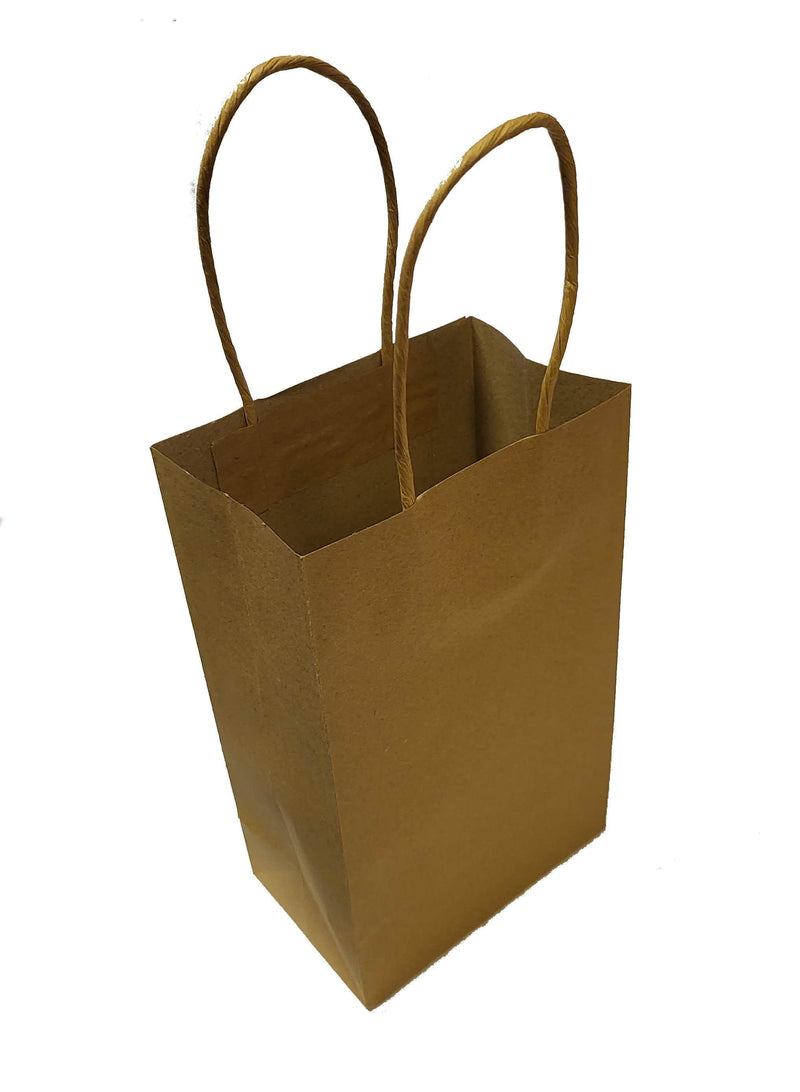 Kraft Paper Party Gift Bags - 10 Pack - Shelburne Country Store