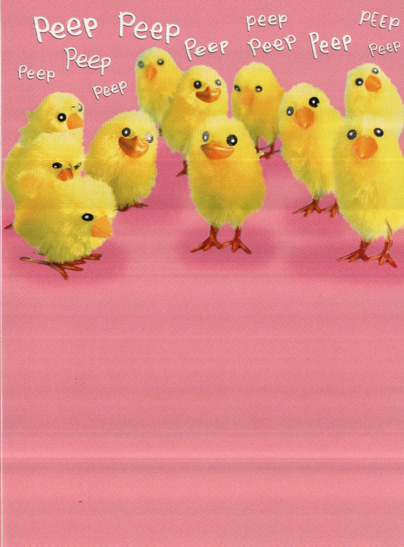Peeps Easter Greeting Card - Shelburne Country Store