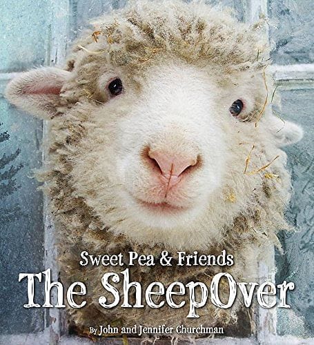 Sweet Pea & Friends The Sheep Over - Shelburne Country Store