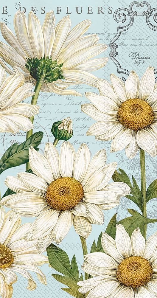 Shasta Daisy Guest Towel - Shelburne Country Store