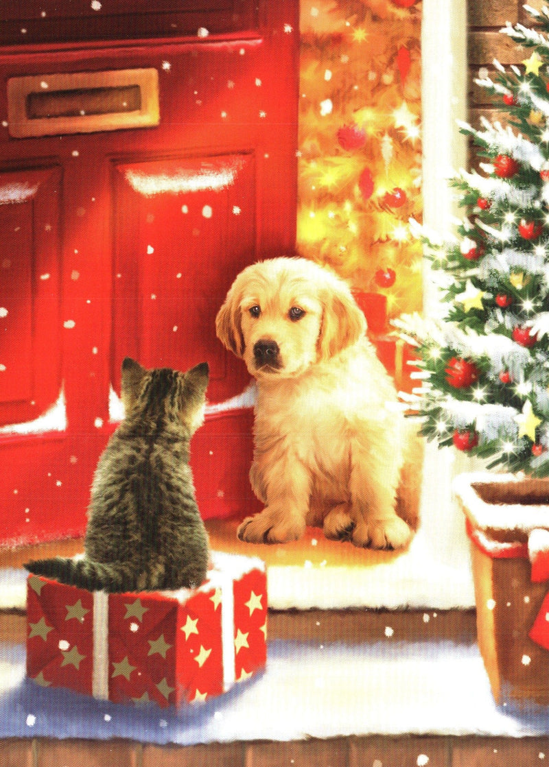 Love of Pets 18 Card Boxed Set - - Shelburne Country Store