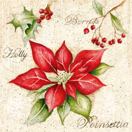 Ampelco Poinsettia - - Shelburne Country Store