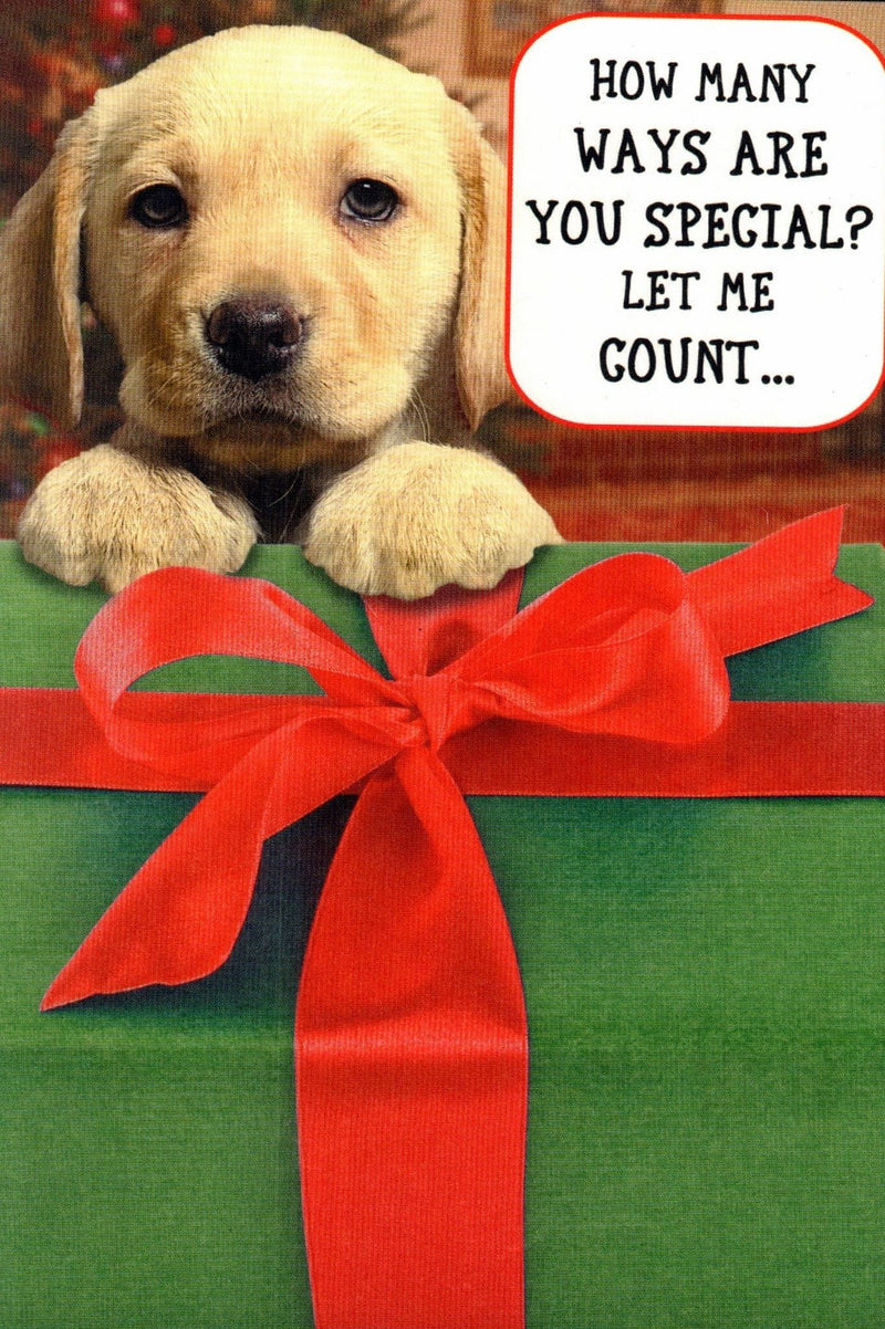 You Are Special Puppy Christmas Card - Shelburne Country Store