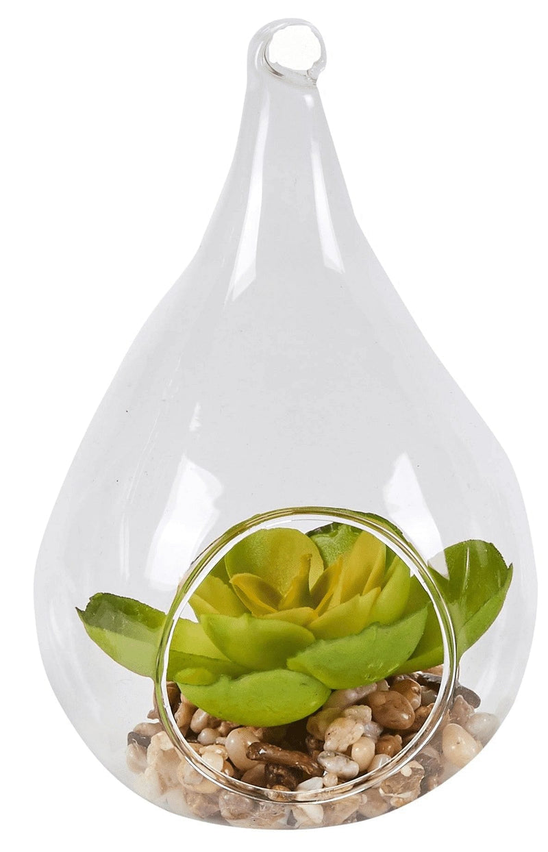 Glass Potted Faux Succulent - - Shelburne Country Store