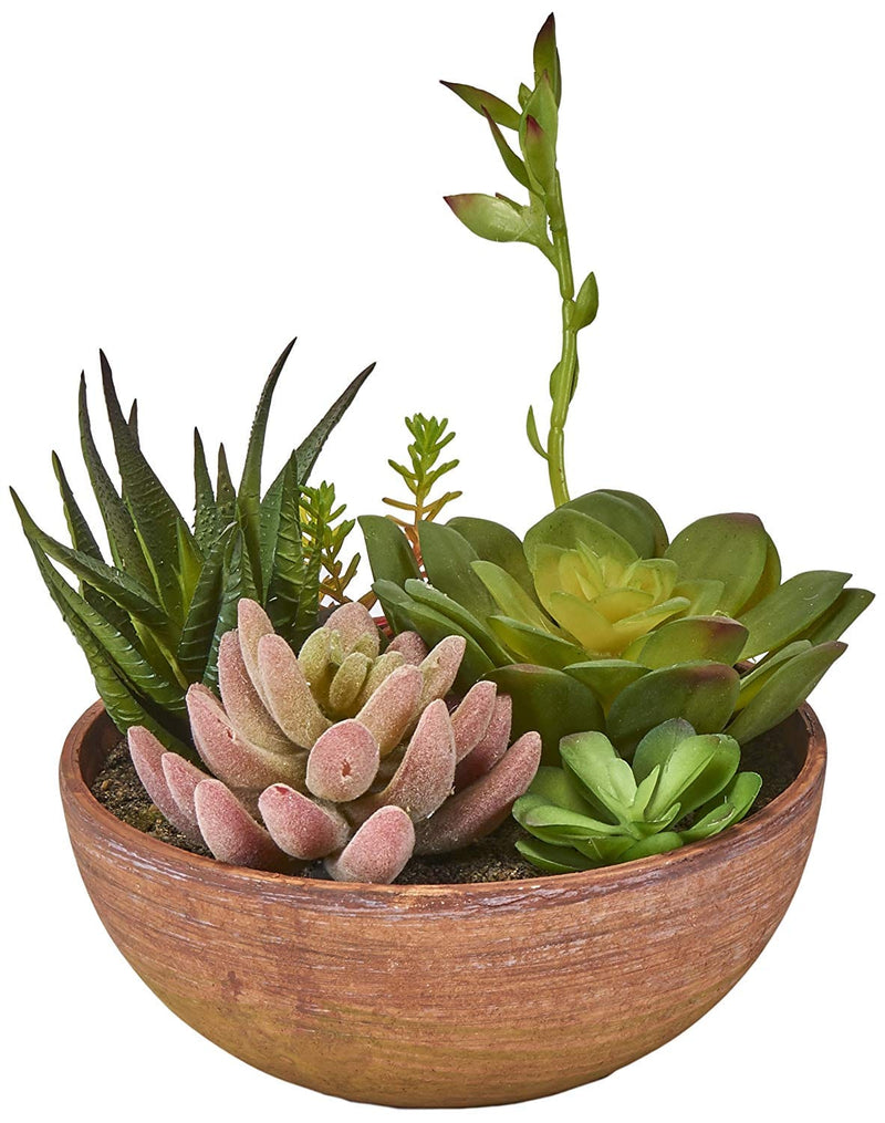 8" Faux Succulent Plants in Round Ceramic Pot - Shelburne Country Store