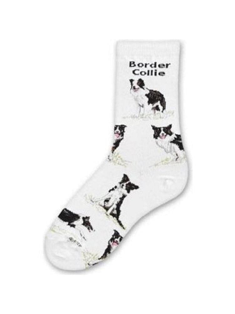 Border Collie Poses Socks - Medium - Shelburne Country Store