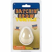 Hatchin Grow Turtle - Shelburne Country Store