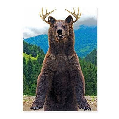 Bear With Antlers Birthday - Shelburne Country Store