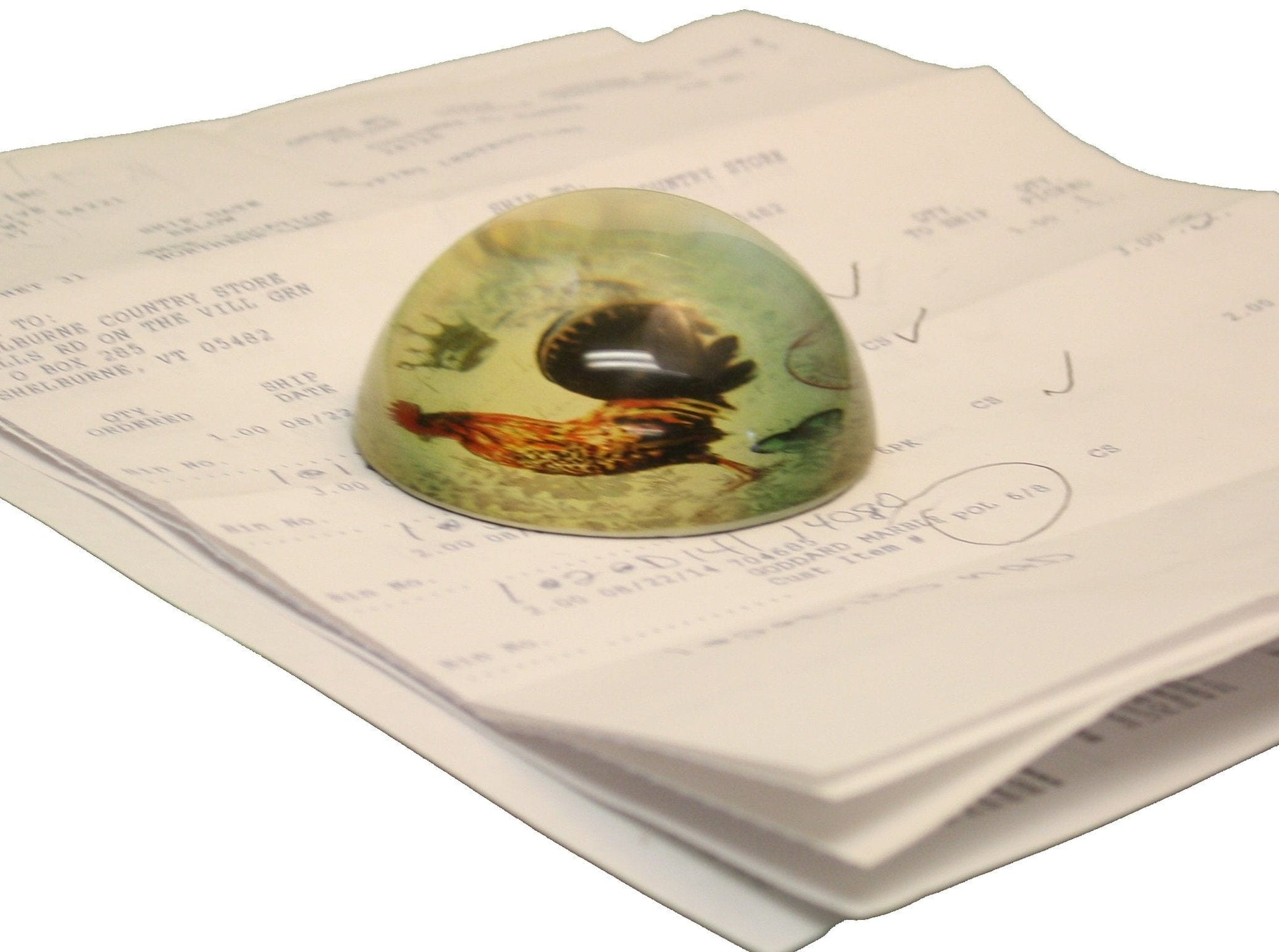 Magic Rail Twirler - Shelburne Country Store