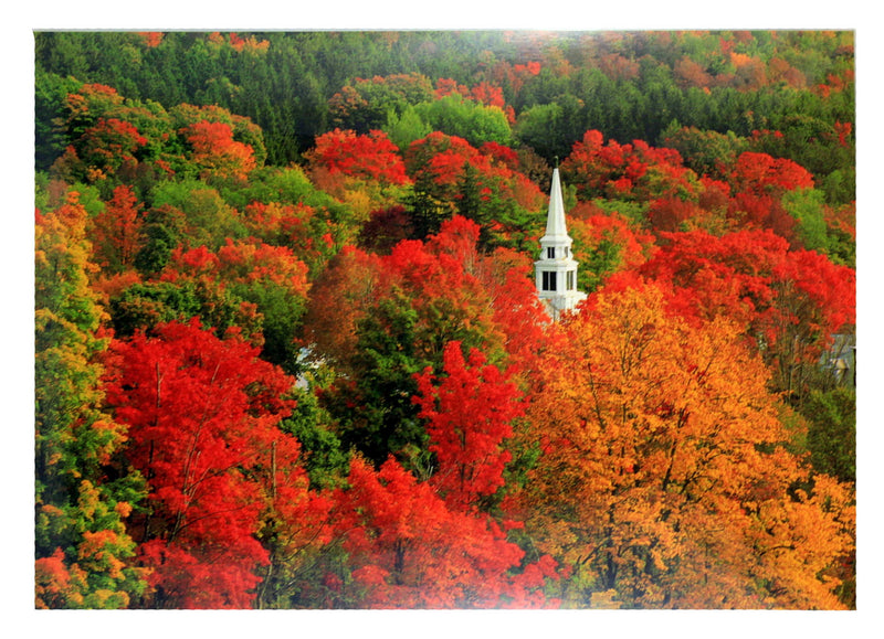 Vermont Placemat -  Reversable Foliage / Mount Mansfield - Shelburne Country Store