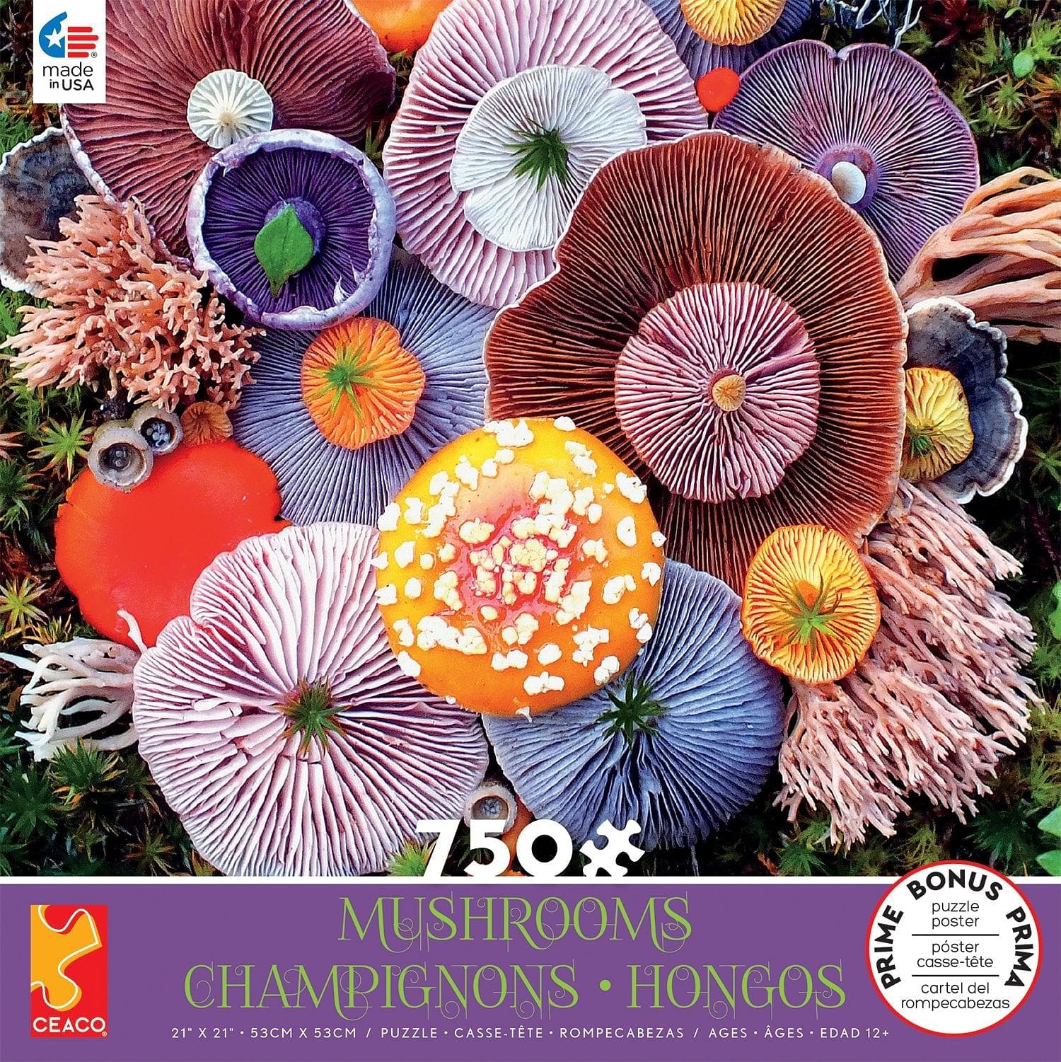 Mushroom - Agaric - 750 Piece Puzzle - Shelburne Country Store