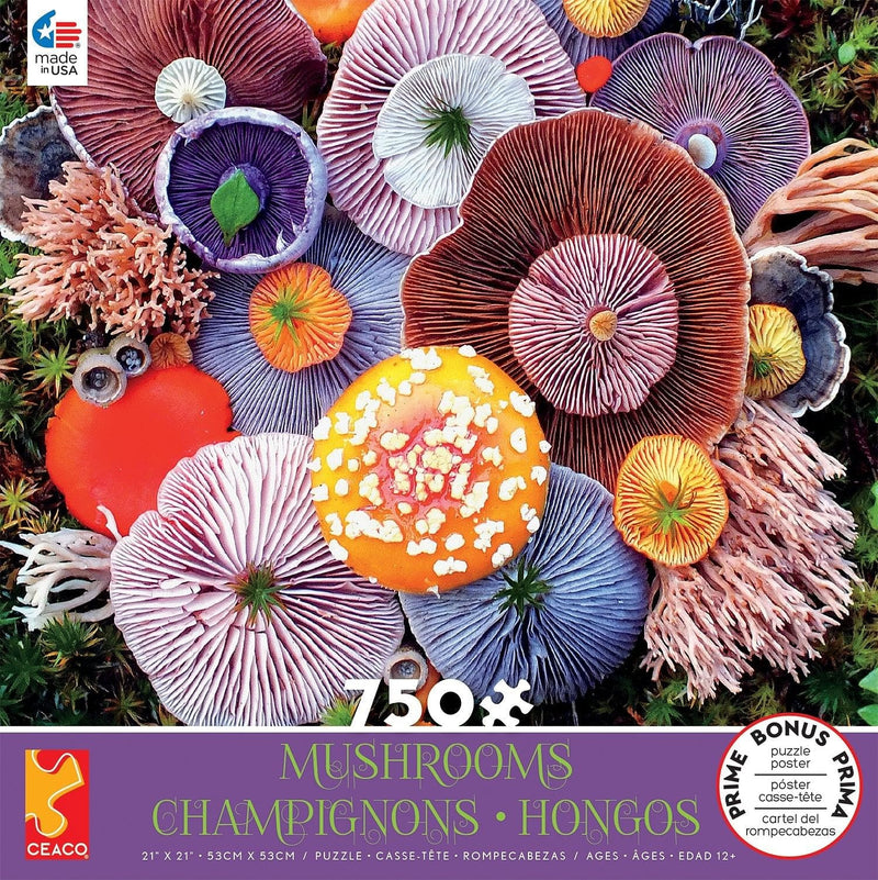 Mushroom - Agaric - 750 Piece Puzzle - Shelburne Country Store