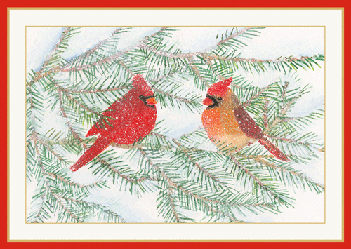 Cardinals On Snowy Pine - Christmas Card Box - 16 Cards (4.75'' x 6'') - Shelburne Country Store