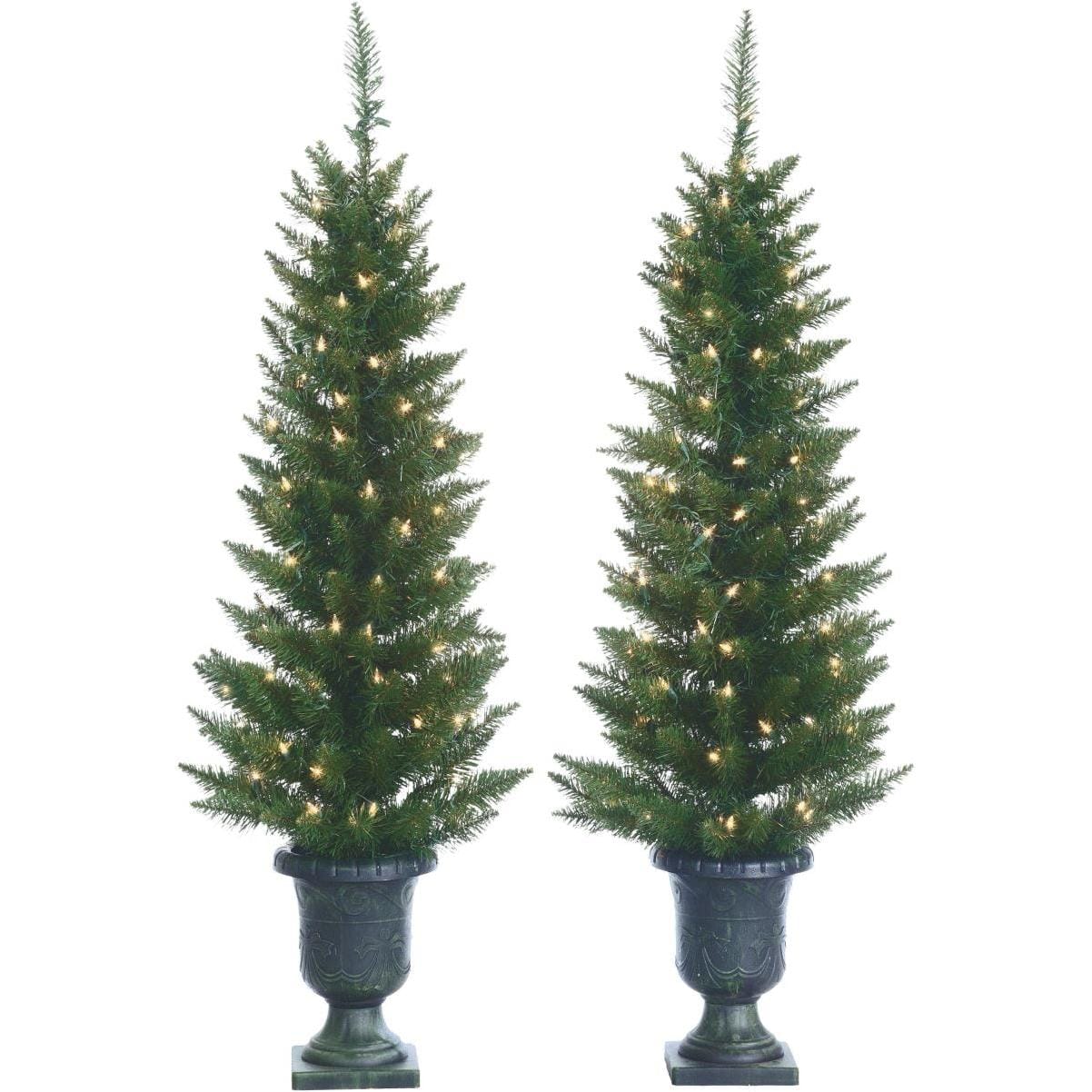 S/2 Potted Cedar Pine - 4 Foot - Shelburne Country Store