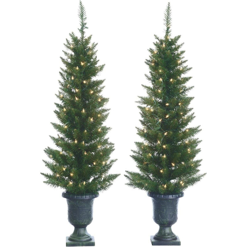 S/2 Potted Cedar Pine - 4 Foot - Shelburne Country Store
