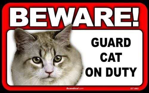 Beware Guard Cat On Duty Sign - - Shelburne Country Store