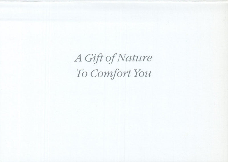 A Gift of Nature Leaf Card - Shelburne Country Store