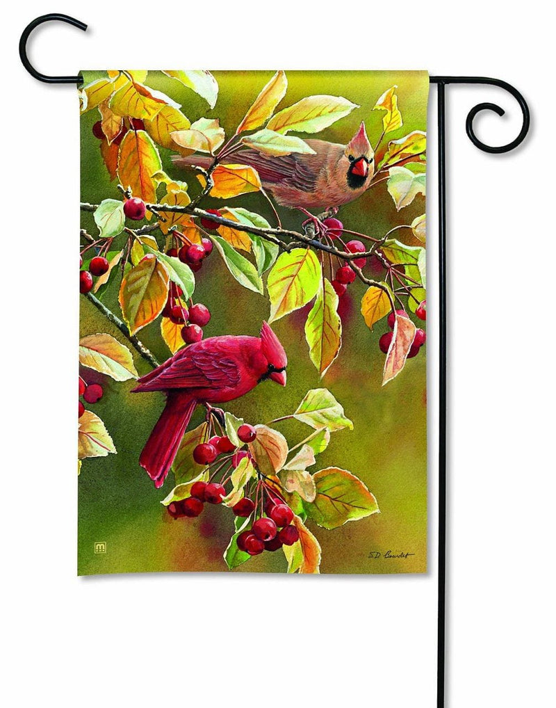 Cardinal Afternoon Flag - 12.5x18 - Shelburne Country Store