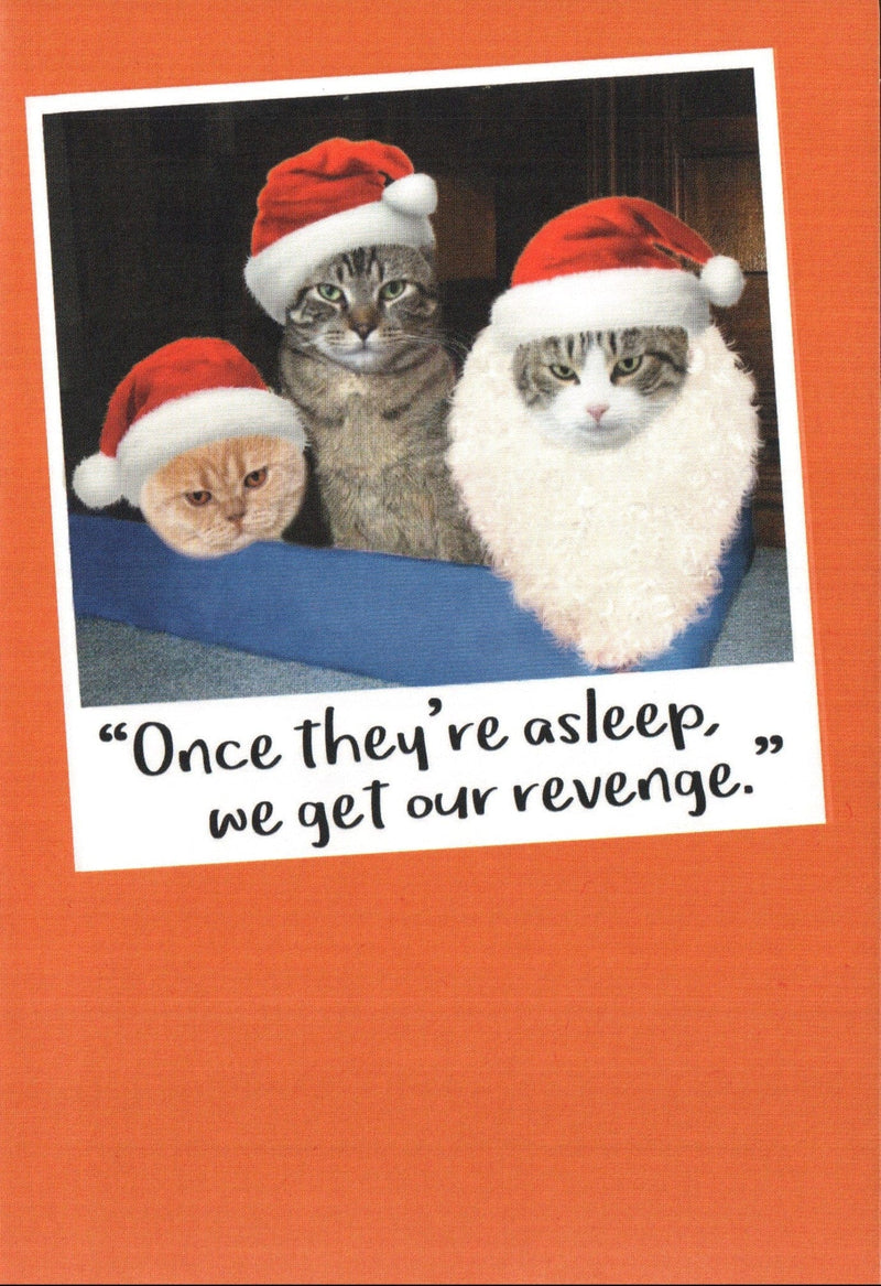 Cats Getting Revenge Christmas Card - Shelburne Country Store