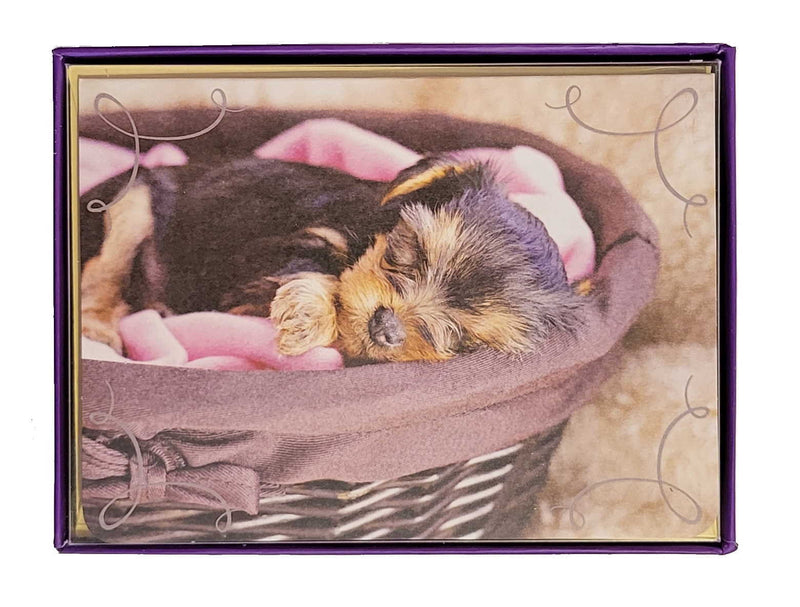 Boxed Notecards - Blank - Puppy in Basket - Shelburne Country Store