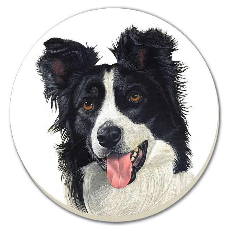 Border Collie Absorbent Coasters 4 Piece Set - Shelburne Country Store