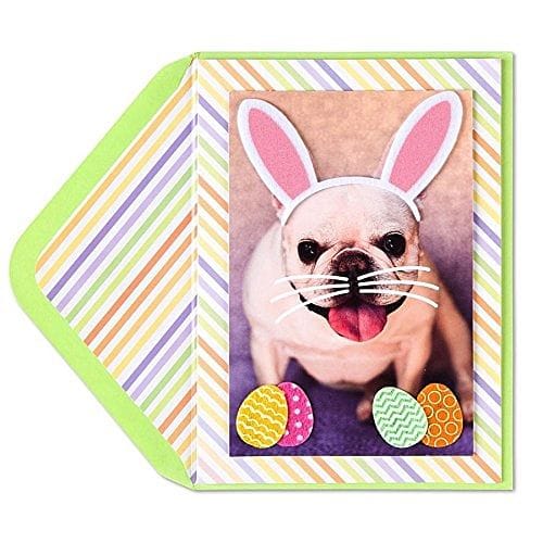 Some People Will Do Anything For Jelly Beans Easter Card - Shelburne Country Store