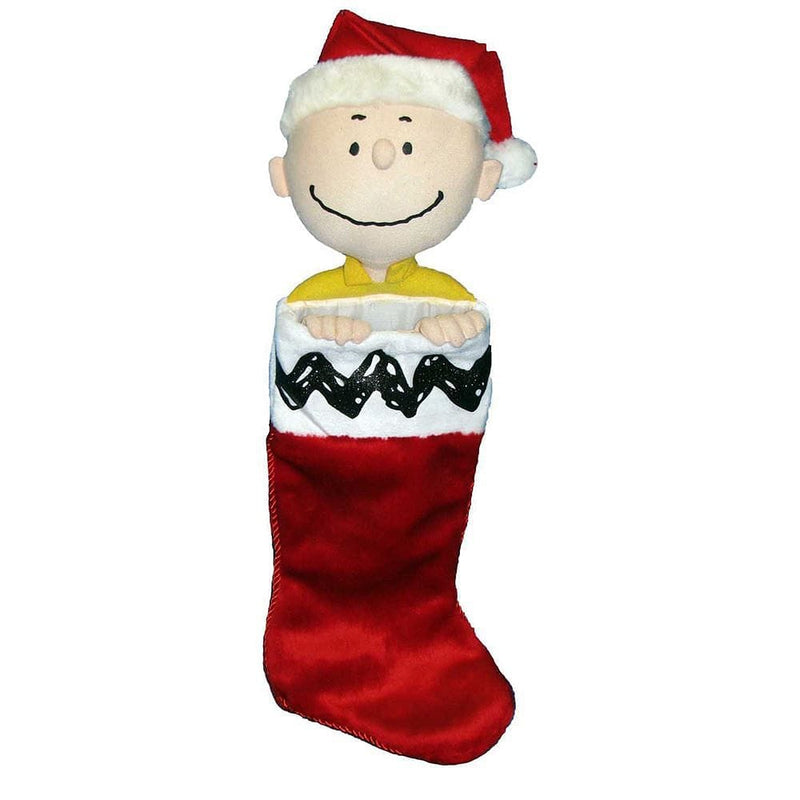Peanuts Charlie Brown Plush Head Stocking - Shelburne Country Store