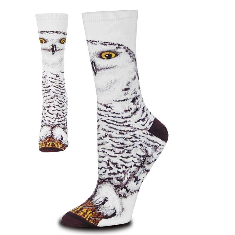Snowy Owl Print Adult Medium Socks - Shelburne Country Store