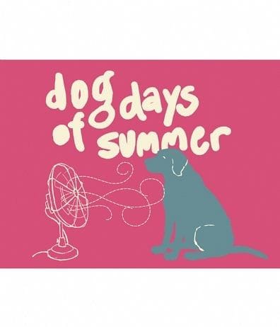 Magnet - Dog Days Of Summer - Shelburne Country Store