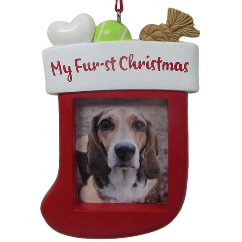 Hallmark My Fur-st Christmas Photo Holder Dated 2019 Ornament - Shelburne Country Store