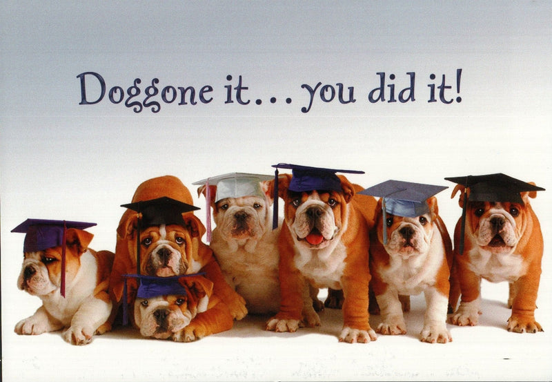 Doggone It Graduation Card - Shelburne Country Store