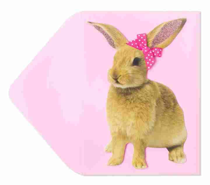 Bunny with bow Easter Greeting Card - Shelburne Country Store