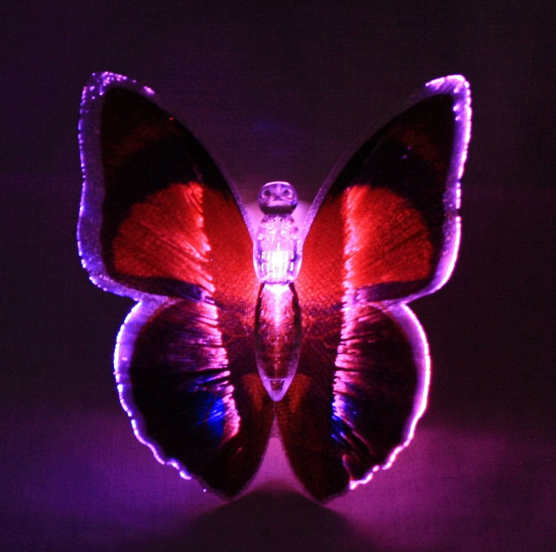 LED Lightup Butterfly - Green - Shelburne Country Store