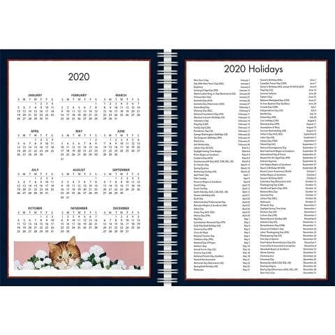 2020 American Cat Engagement Planner - Shelburne Country Store