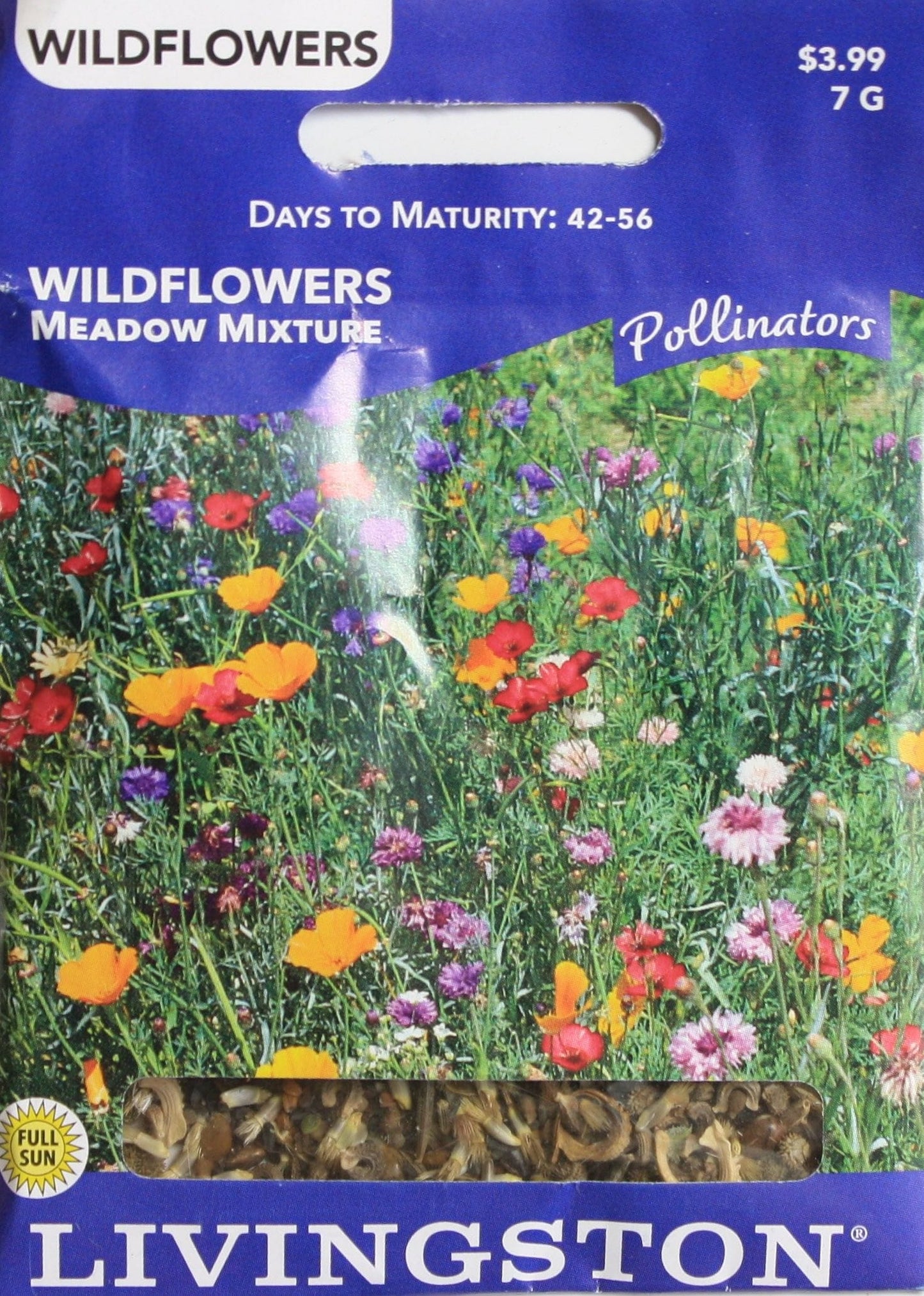 2021 Seed Packet - Wild- Meadow Mix - Shelburne Country Store