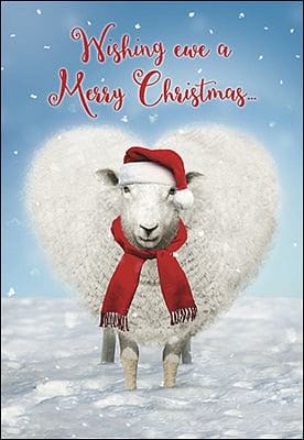 Wishing Ewe a Merry Christmas Boxed Christmas Cards - Shelburne Country Store