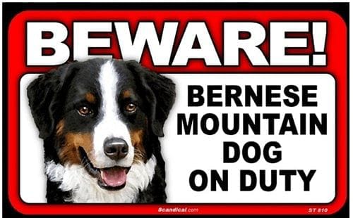 Beware Guard Dog On Duty Sign - - Shelburne Country Store