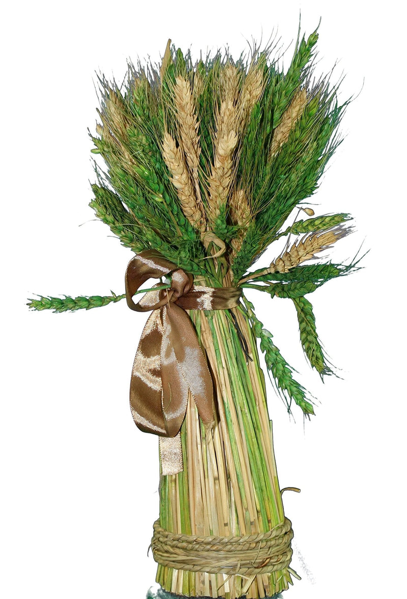 Tii Collections 13 inch Harvest Wheat Bundle - Shelburne Country Store