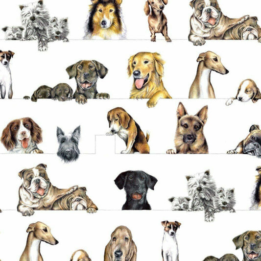 Dogs Gift Wrap Sheets - Shelburne Country Store