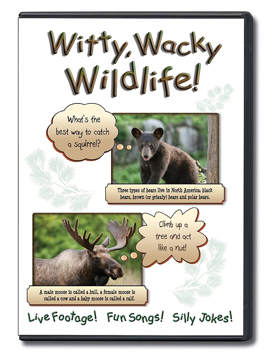 Witty, Wacky Wildlife DVD - Shelburne Country Store
