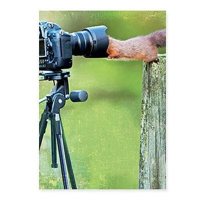 Squirrel in Camera Birthday Card - Shelburne Country Store