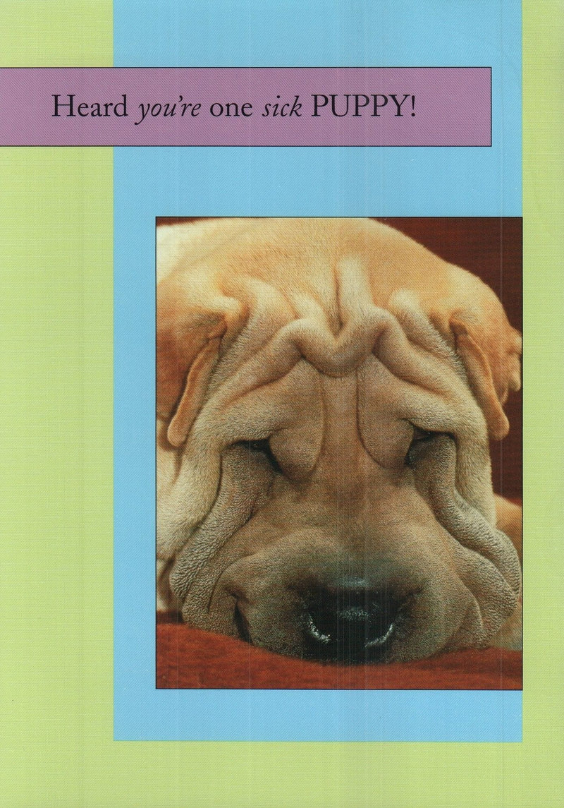 One Sick Puppy Card - Shelburne Country Store