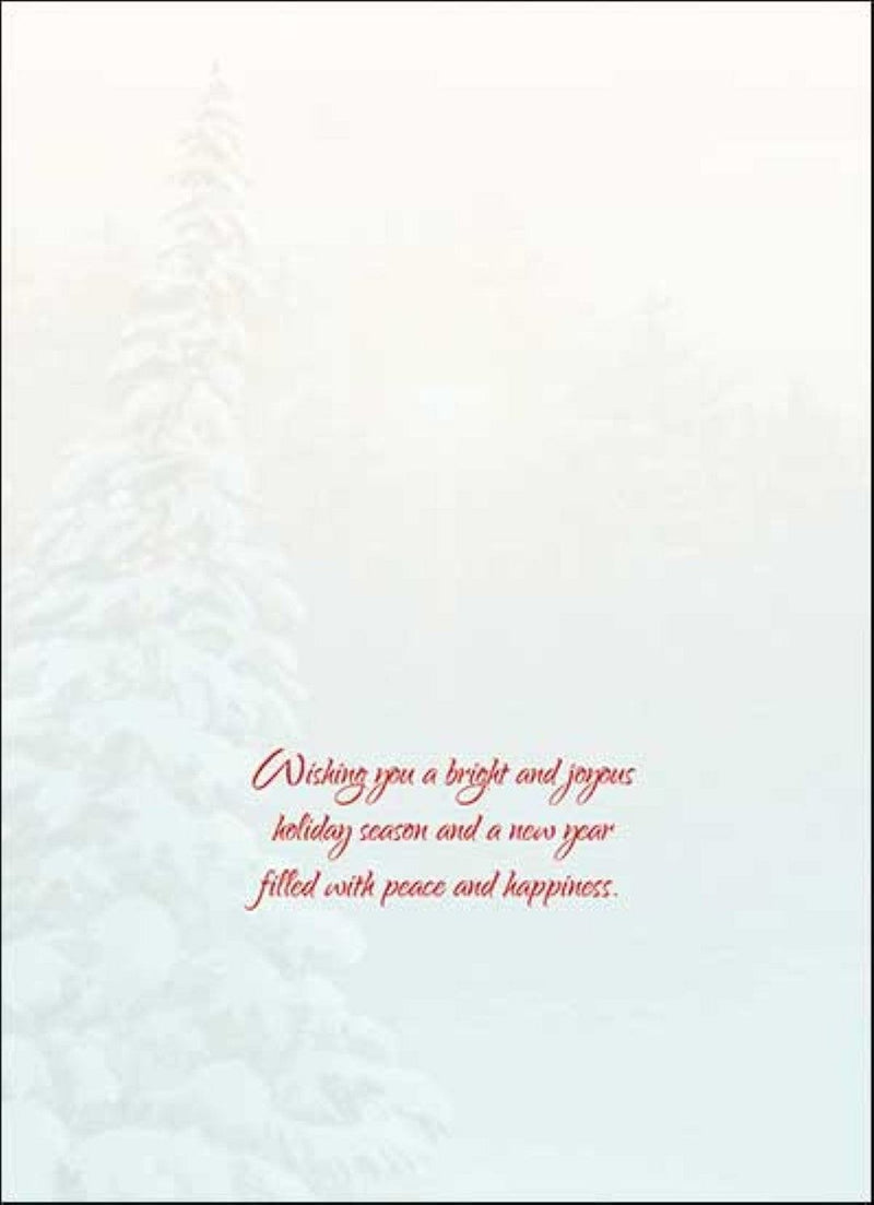 Cardinal Sunrise - Boxed Christmas Cards - Shelburne Country Store