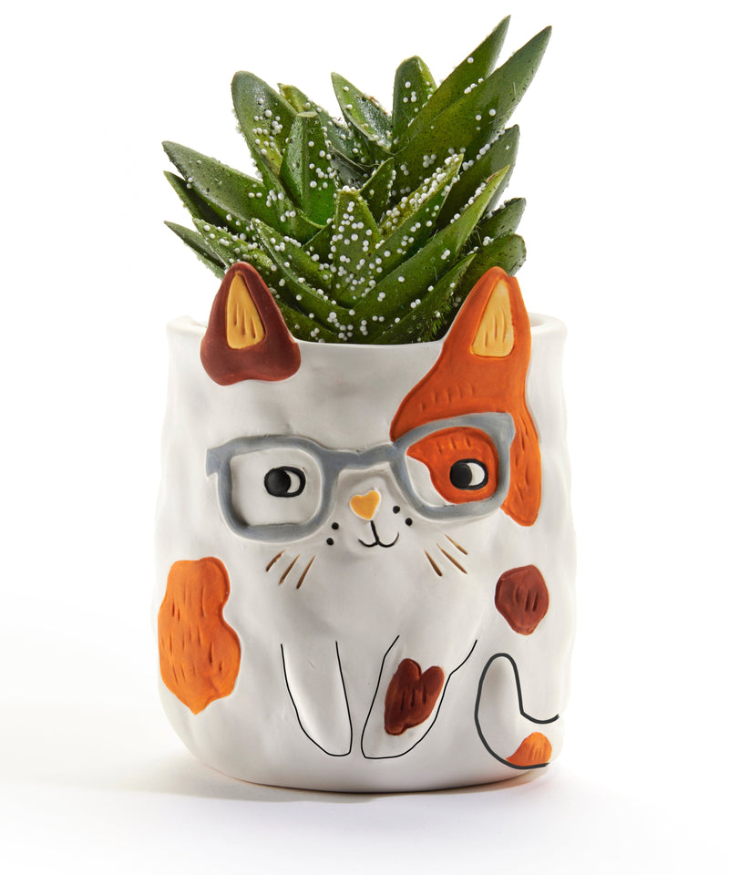 Calico Cat With Glasses Planter - Shelburne Country Store