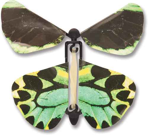 Wind up Australian Butterfly - - Shelburne Country Store