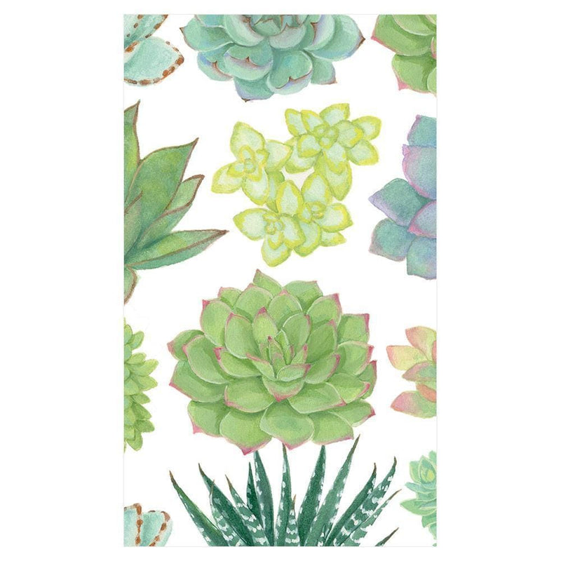 Succulents Paper Match Box - Shelburne Country Store