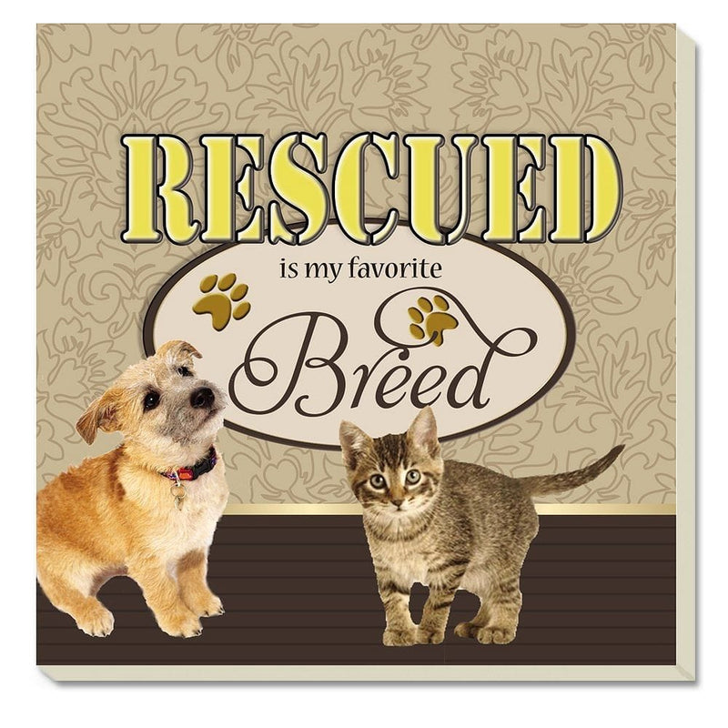 Rescued Absorbent Coaster Set Of 4 - Shelburne Country Store