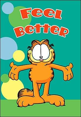 Garfield - Feel Better - Shelburne Country Store